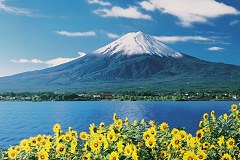 Mt. Fuji