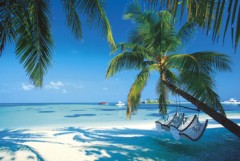 Vacation spot