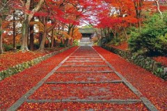 Bishamon-dô