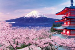 Fuji with pagoda