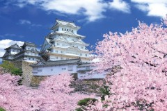 Himeji castle