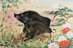 Year of the boar
