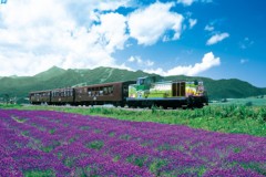 Norokko sightseeing train