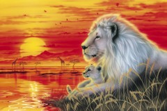 Pulse of the savannah