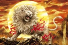 White lion roar