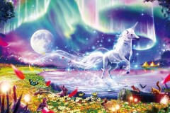 Magical night