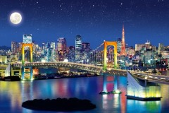 Tokyo bay area at night