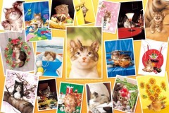 Cat collection