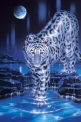 Snow leopard