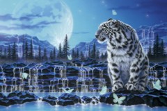 Memory of the earth