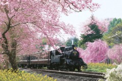 Springtime under steam