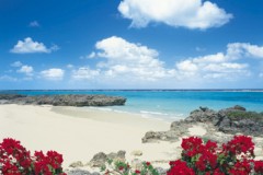 Tropical beach in Japan
