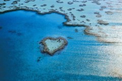 Great barrier reef