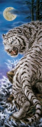 Silver tiger