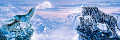 Call of heaven and earth