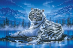 King of the forest