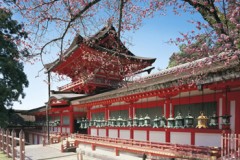 Kasuga Grand Shrine, Nara