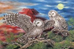 Fuji owls