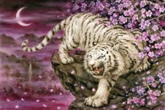 White tiger and cherry