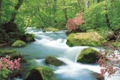 Oirase rapids