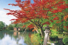 Kenrokuen in autumn