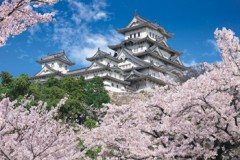 Himeji Castle
