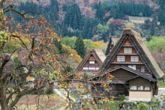 Autumn in Shirakawa-go