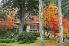 Sanzen-in autumn