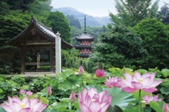 Mimurotoji, Kyoto