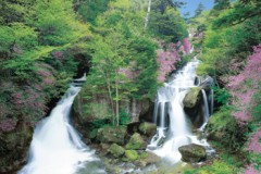 Ryuzu falls