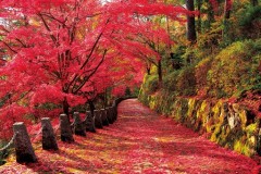 Yoshino mountain way