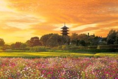 Sunset at Bitchu-Kokubunji