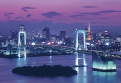 Tokyo nightscape