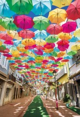 Umbrella street
