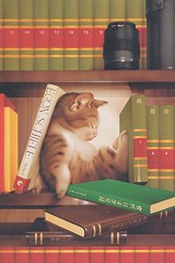Bookshelf