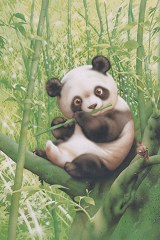 Panda pipe
