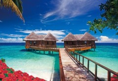 Tropical holiday spot