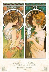 Primrose and feather