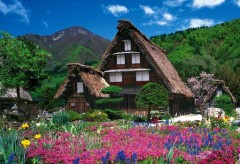 Shirakawa blossom time