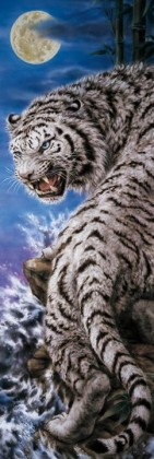 Silver tiger