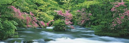 Oirase in summer