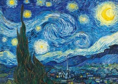 The Starry Night