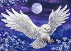 Cherry blossom owl