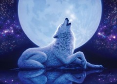 In the still of the night