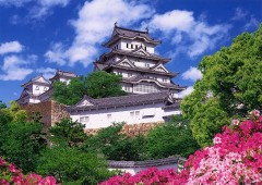 Himeji Castle with azaleas