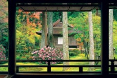 Sanzen-in, Kyoto