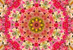 Bouquet reflection