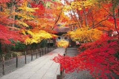 Kômyôji, Kyoto