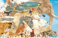 The living world