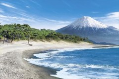 Fuji from Shizuoka